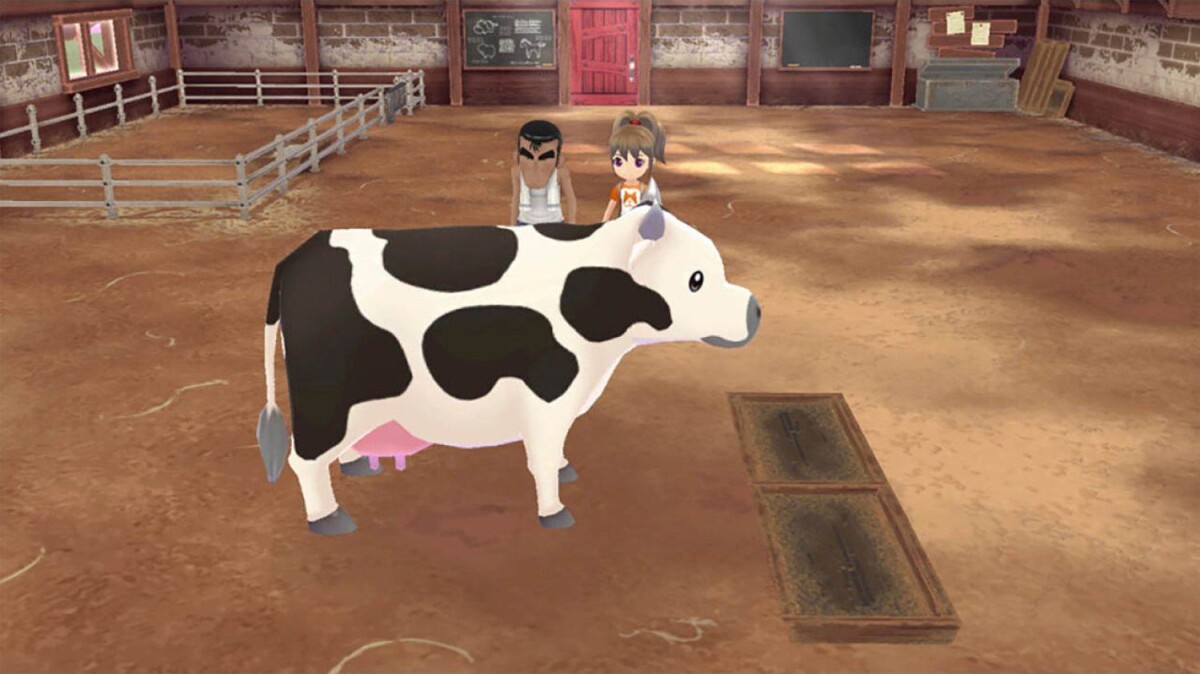 Story Of Seasons A Wonderful Life
