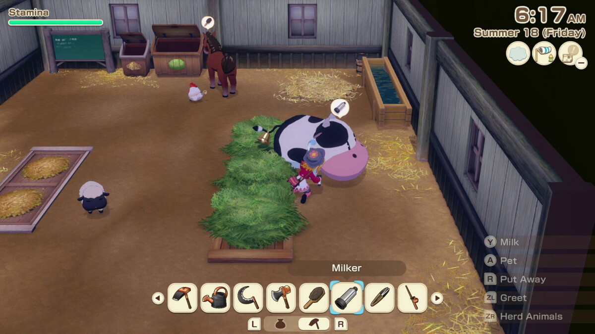Story Of Seasons Grand Bazaar