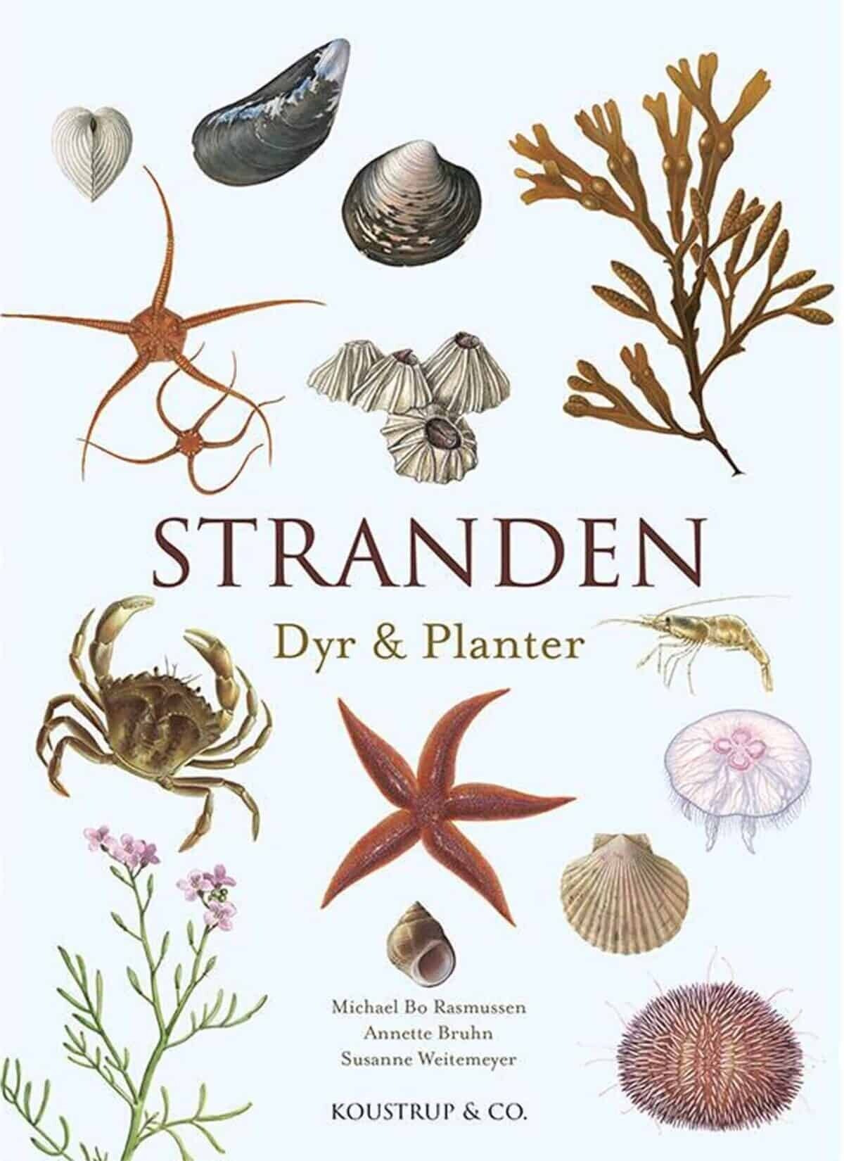 Stranden