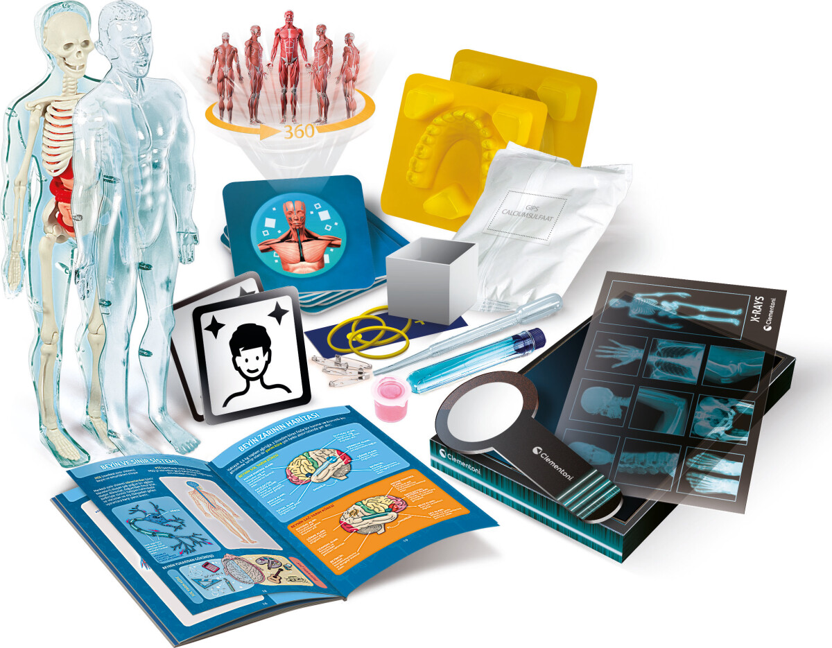 Clementoni - Anatomi Legesæt - Anatomy Lab - Science Play