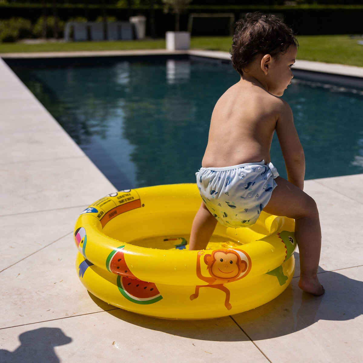 Swim Essentials - Justerbar Svømmeble - Whaley White
