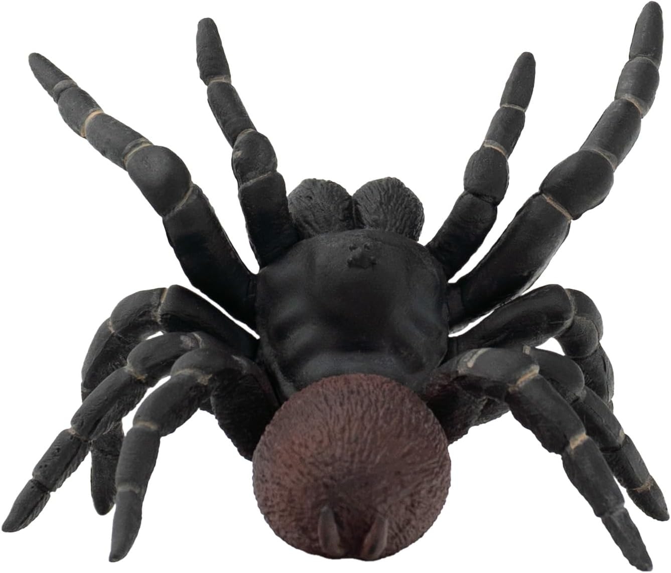 Sydney Tragtspinder Edderkop Figur - 68454 - Bullyland