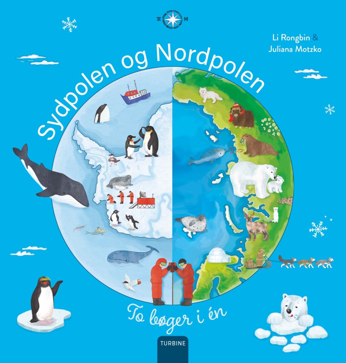 Sydpolen Og Nordpolen