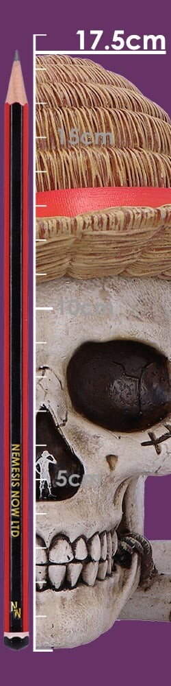 One Piece Luffy Jolly Roger Box