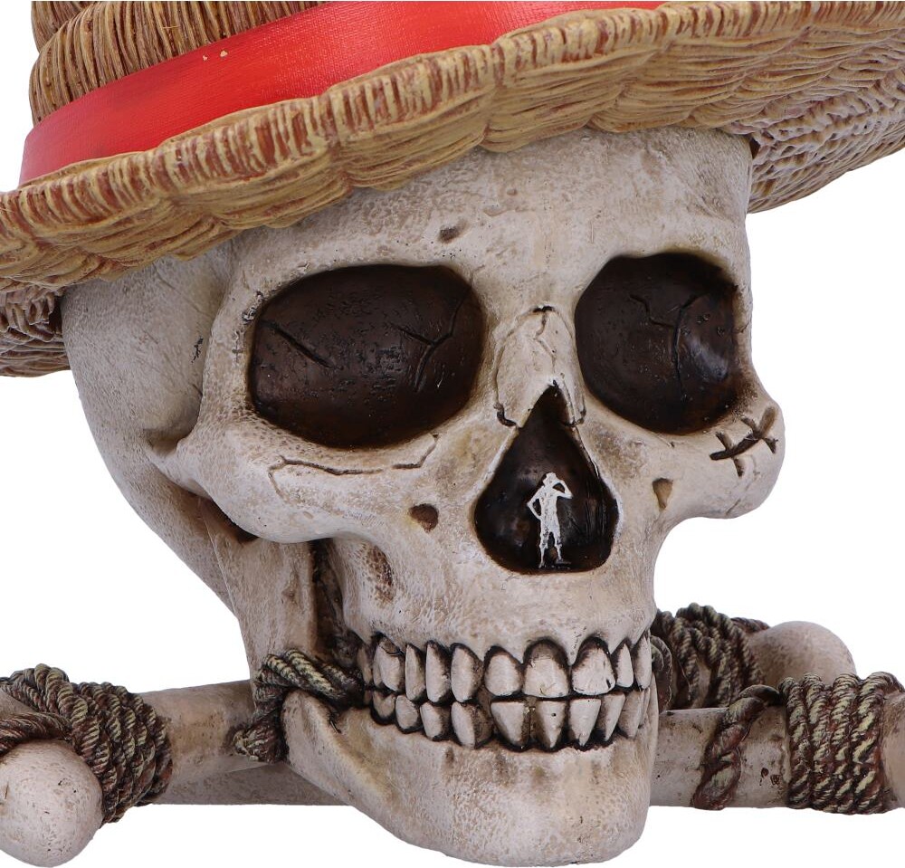 One Piece Luffy Jolly Roger Box