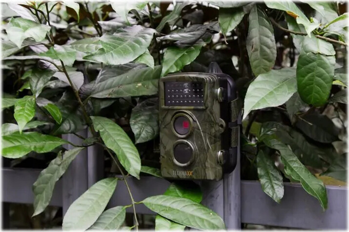 Technaxx - Natur Vildtkamera - Tx-69