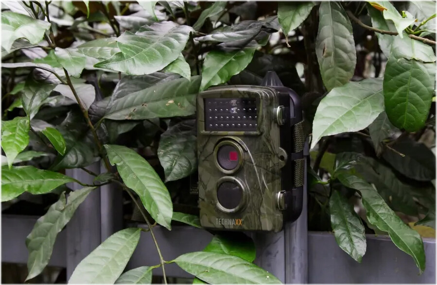 Technaxx - Natur Vildtkamera - Tx-69