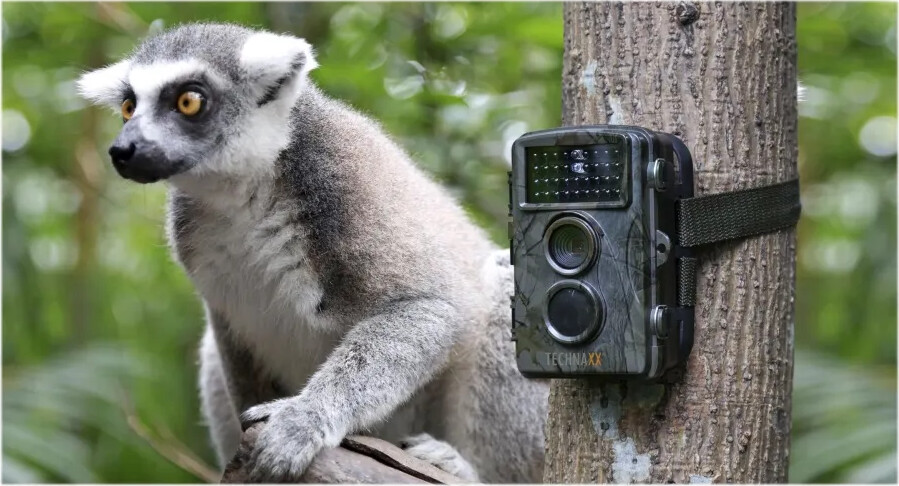 Technaxx - Natur Vildtkamera - Tx-69