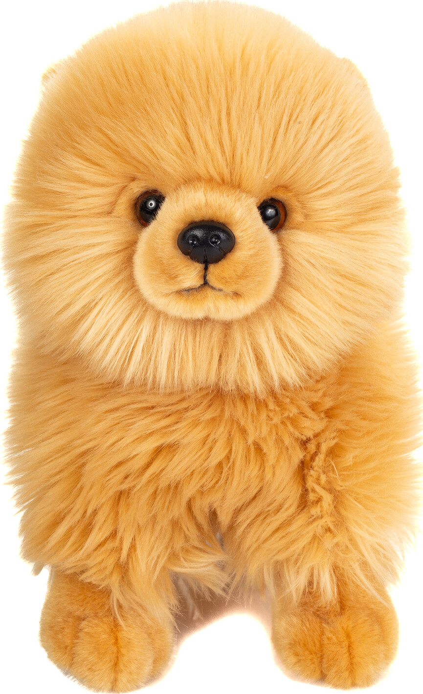 Teddy Hermann - Pomeranian 23 Cm - Gylden