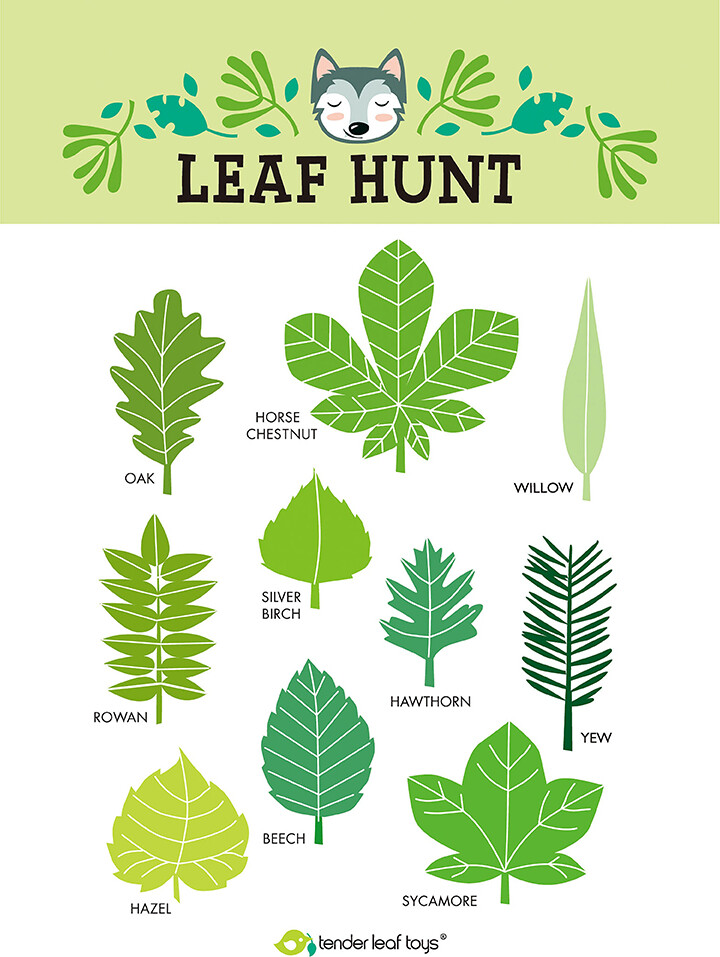 Tender Leaf - Naturekspedition Med Legemåtte