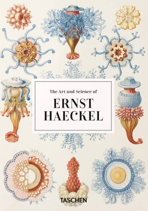 The Art And Science Of Ernst Haeckel