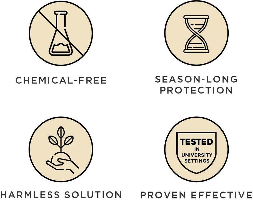 Tickless - Active - Grøn