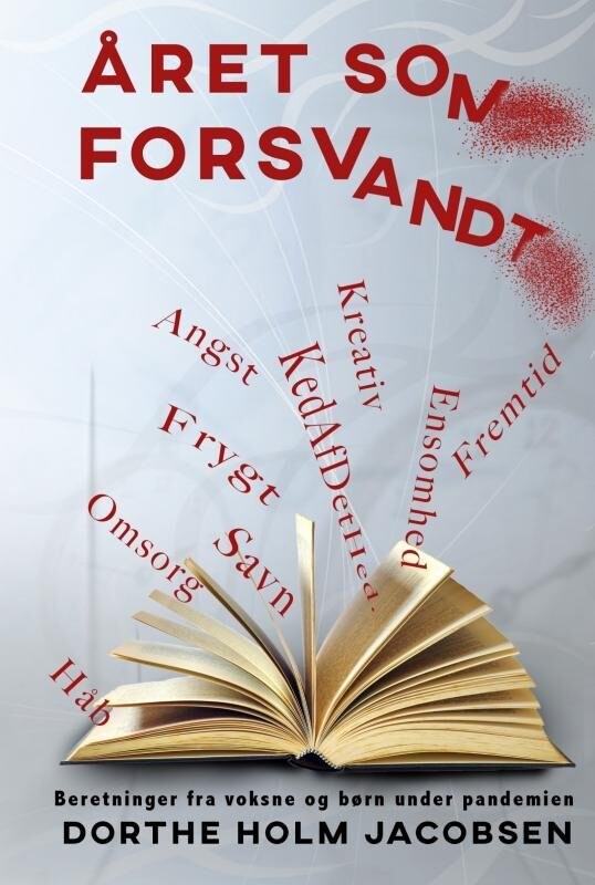 Året Som Forsvandt