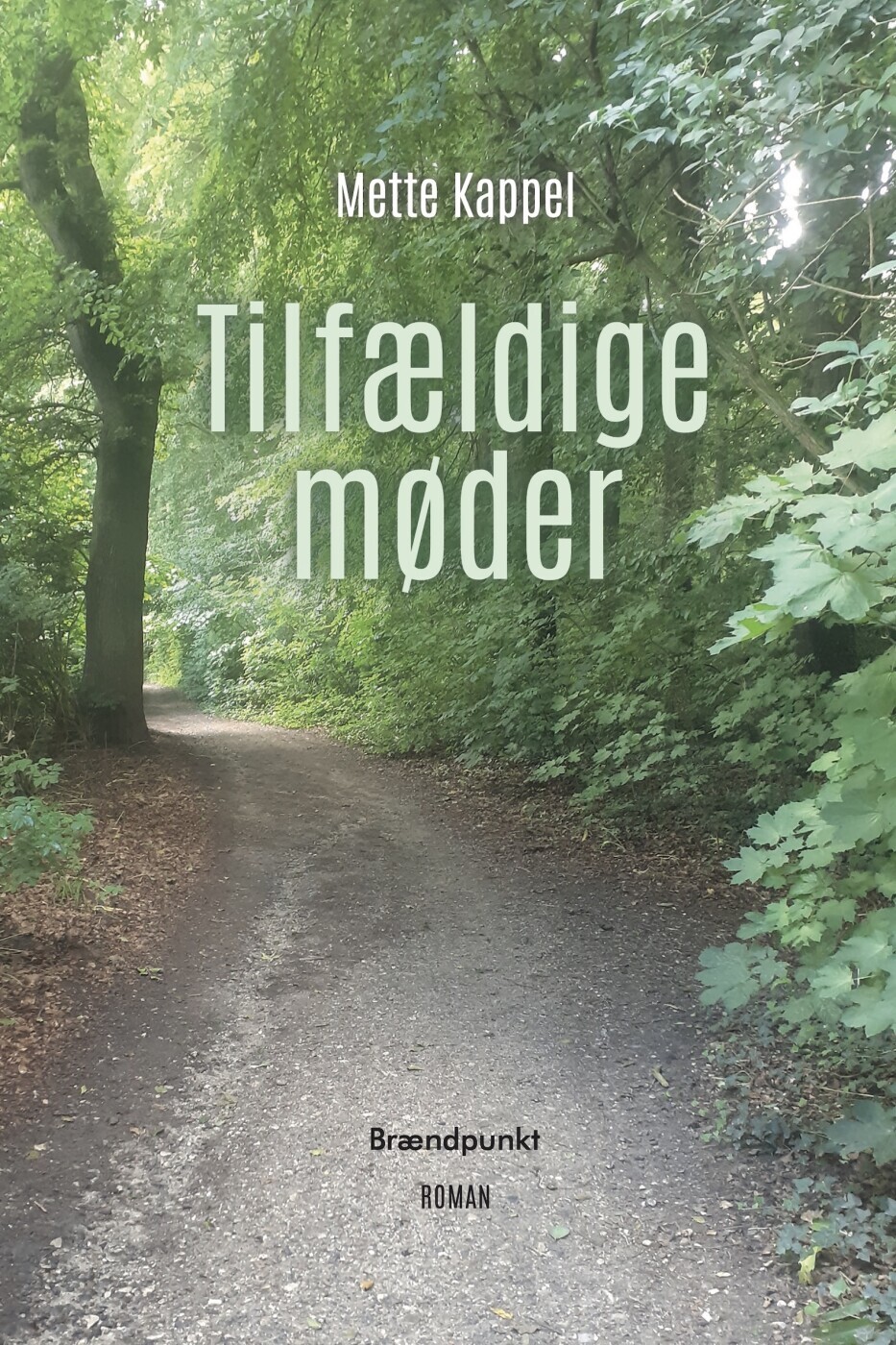 Tilfældige Møder