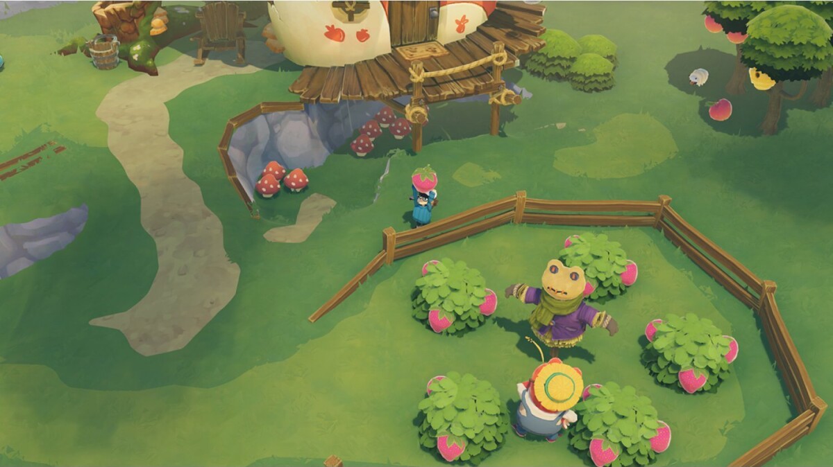 Time On Frog Island