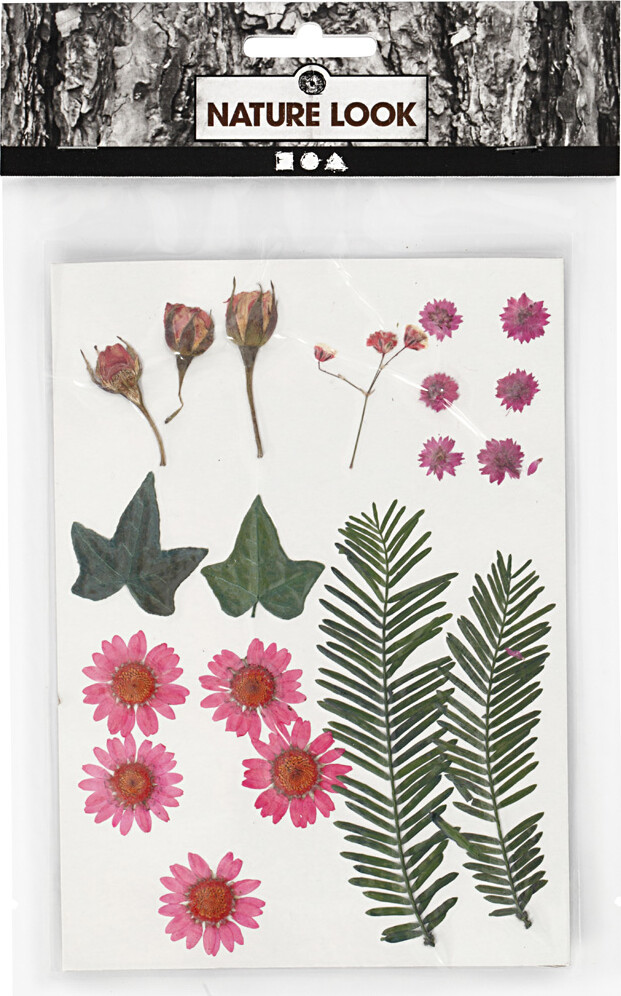 Tørrede Blomster Og Blade - Lyserød