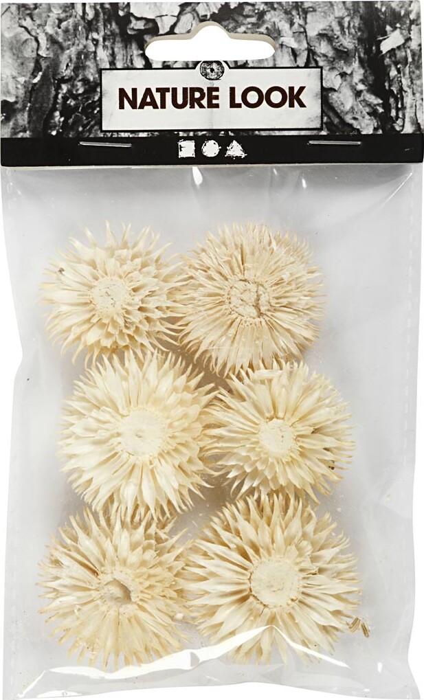 Tørrede Blomsterhoveder - Ø 3-5 Cm - 6 Stk