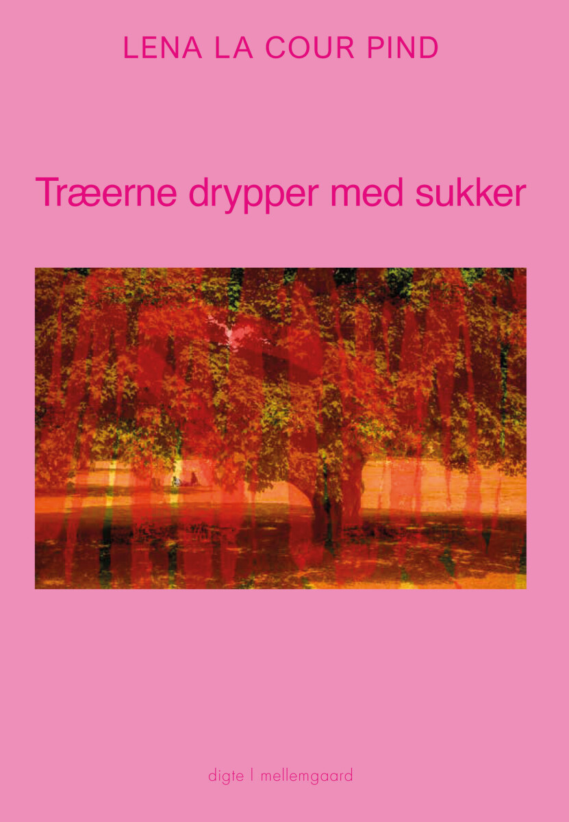 Træerne Drypper Med Sukker