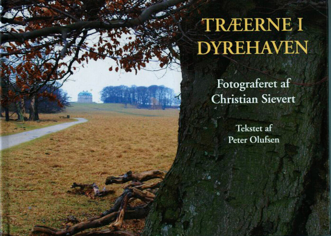 Træerne I Dyrehaven