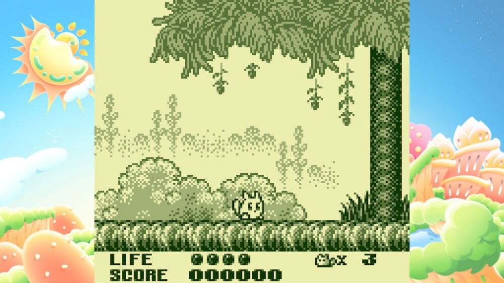 Trip World Dx