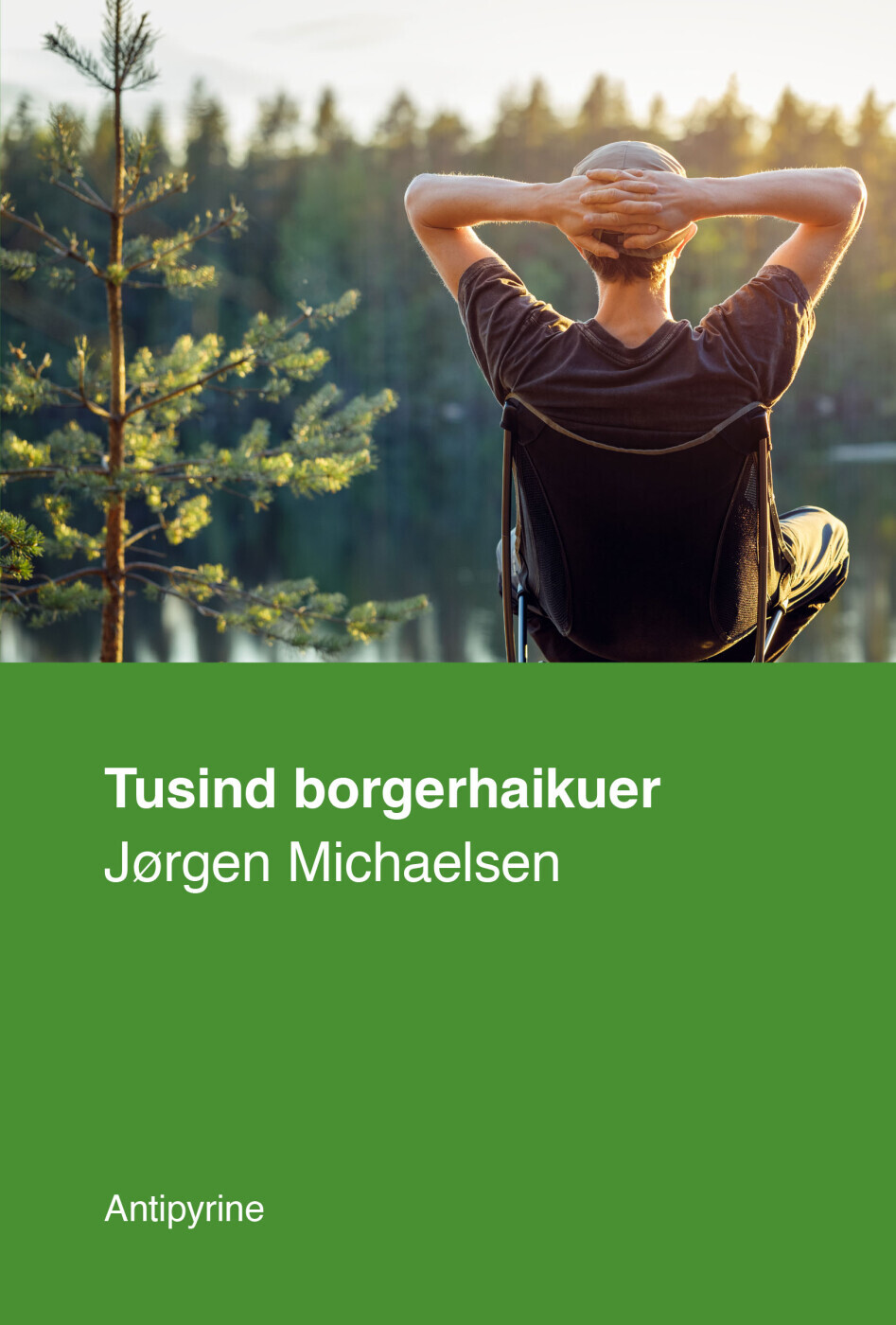 Tusind Borgerhaikuer