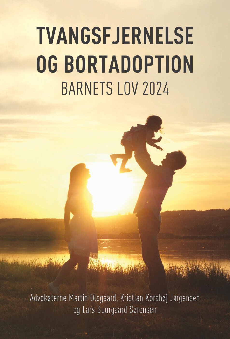Tvangsfjernelse Og Bortadoption