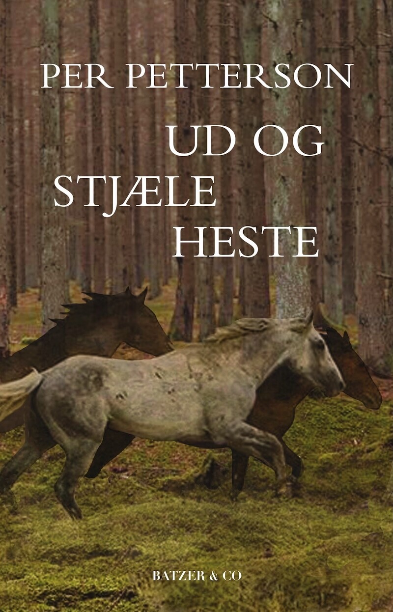 Ud Og Stjæle Heste