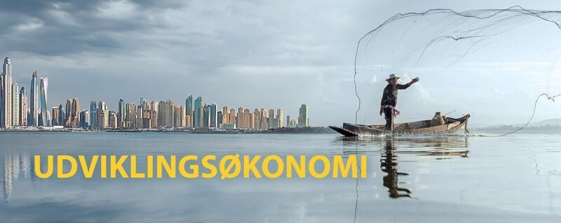 Udviklingsøkonomi