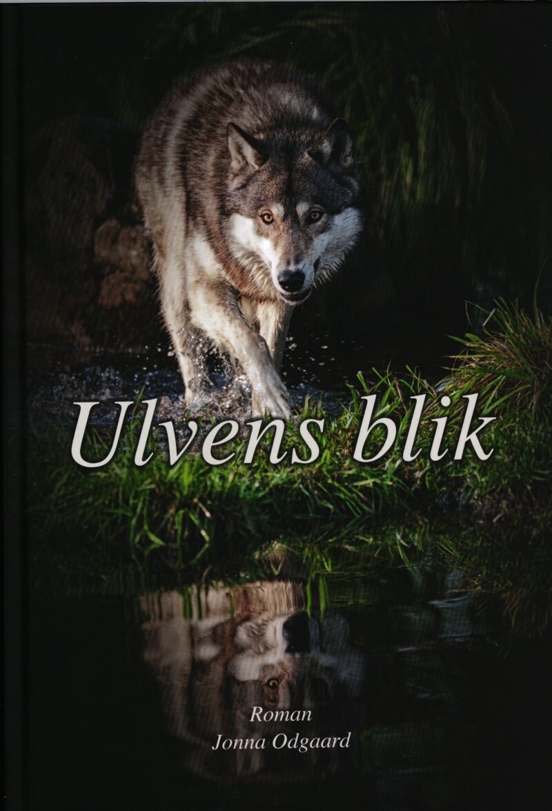 Ulvens Blik