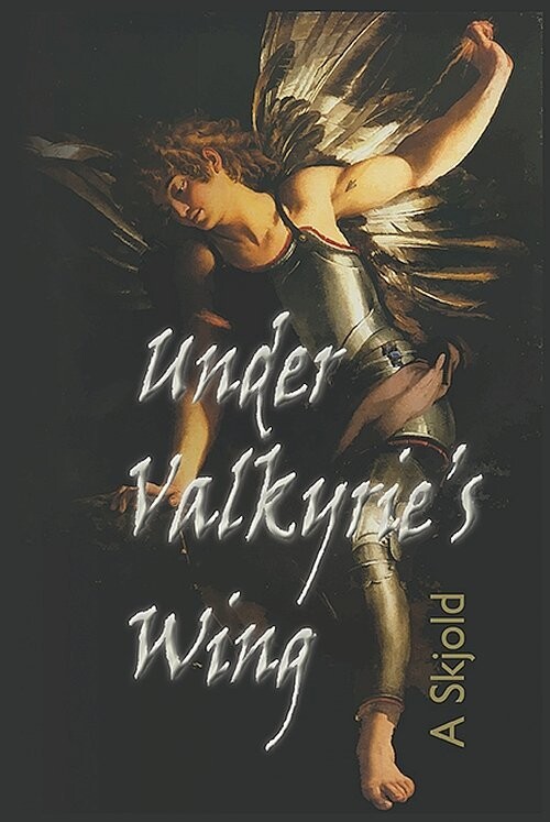 Under Valkyrie S Wing