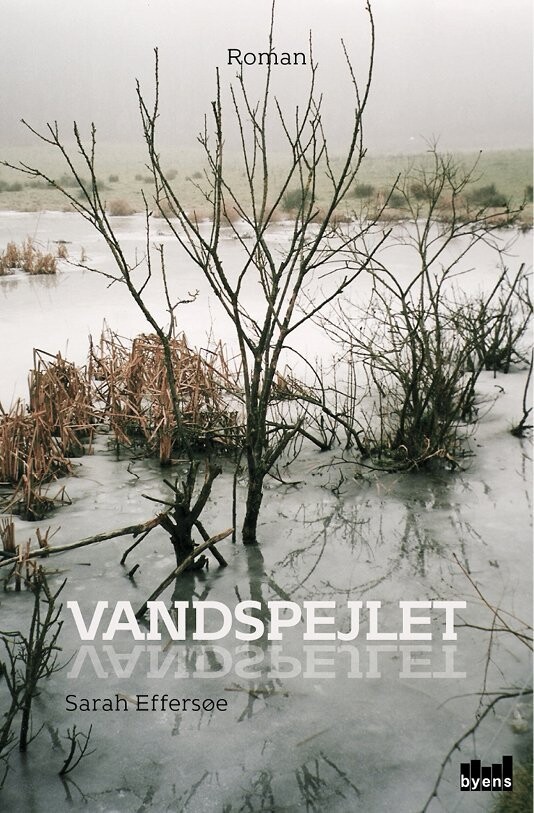 Vandspejlet