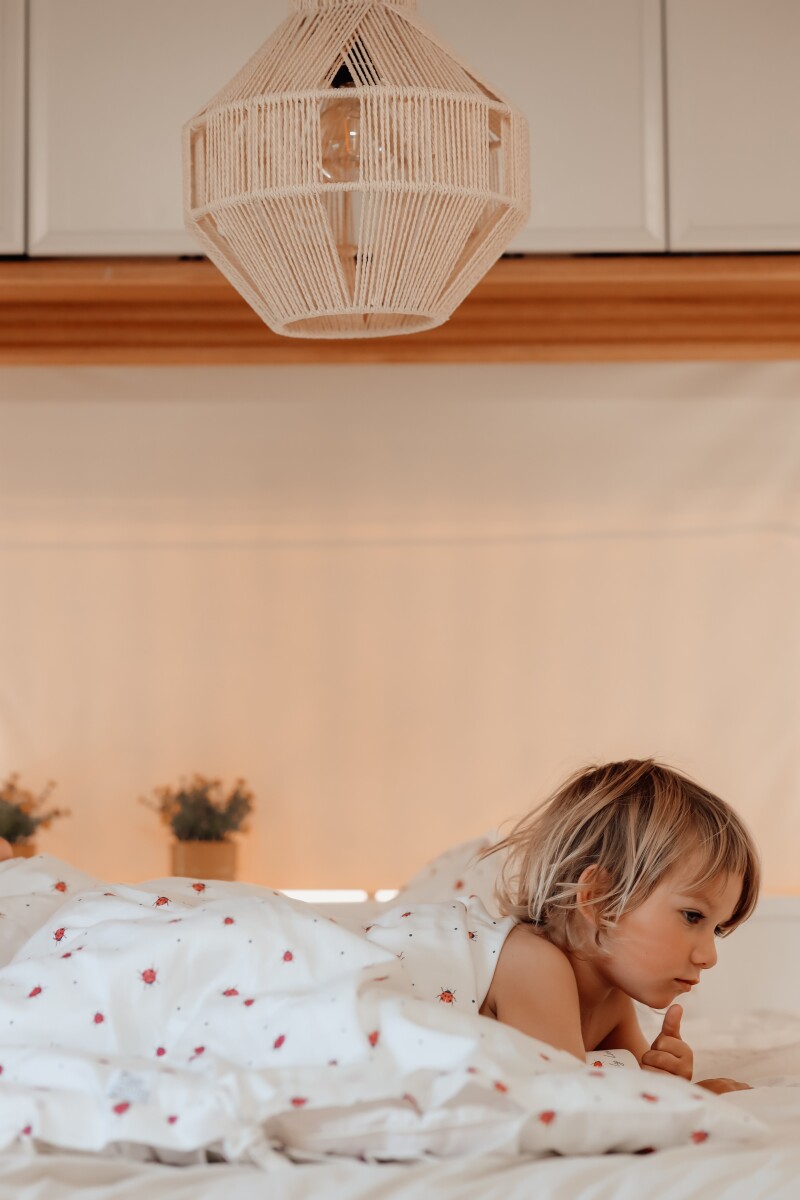 Vanilla Copenhagen - Sengetøj Baby - Lady Lovebug - Milk - 70 X 100 Cm 40