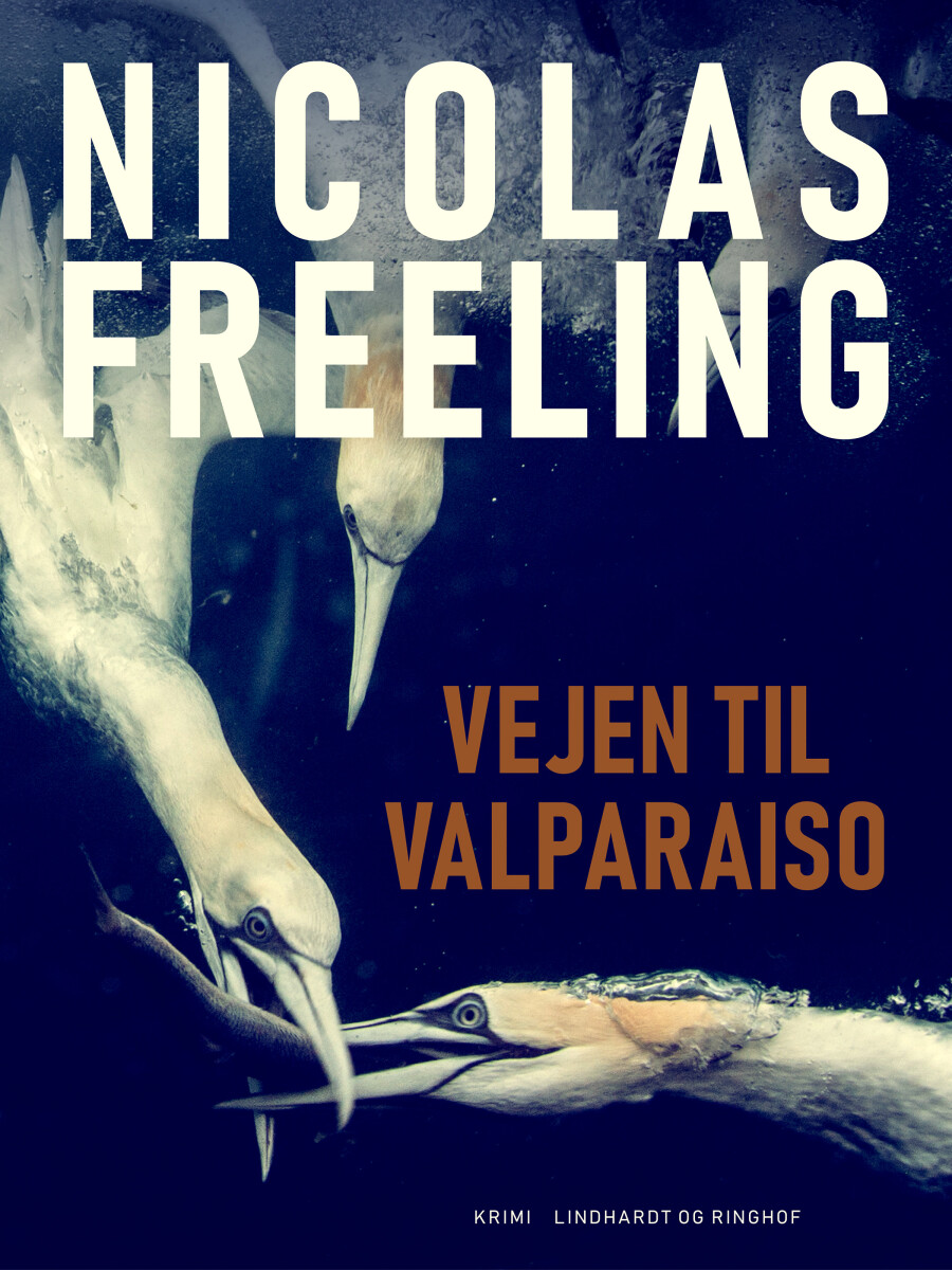 Vejen Til Valparaiso