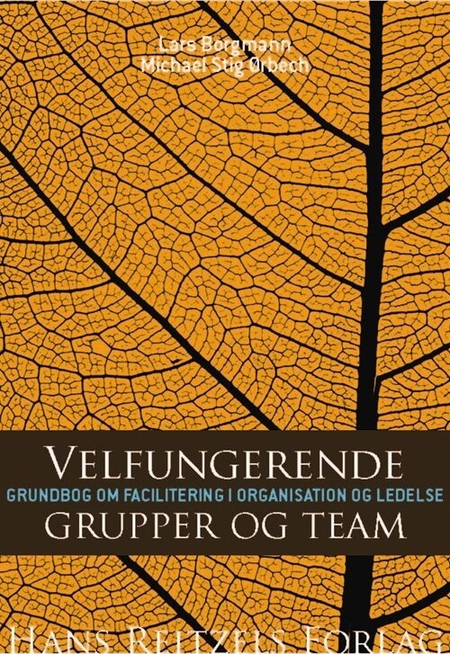 Velfungerende Grupper Og Team