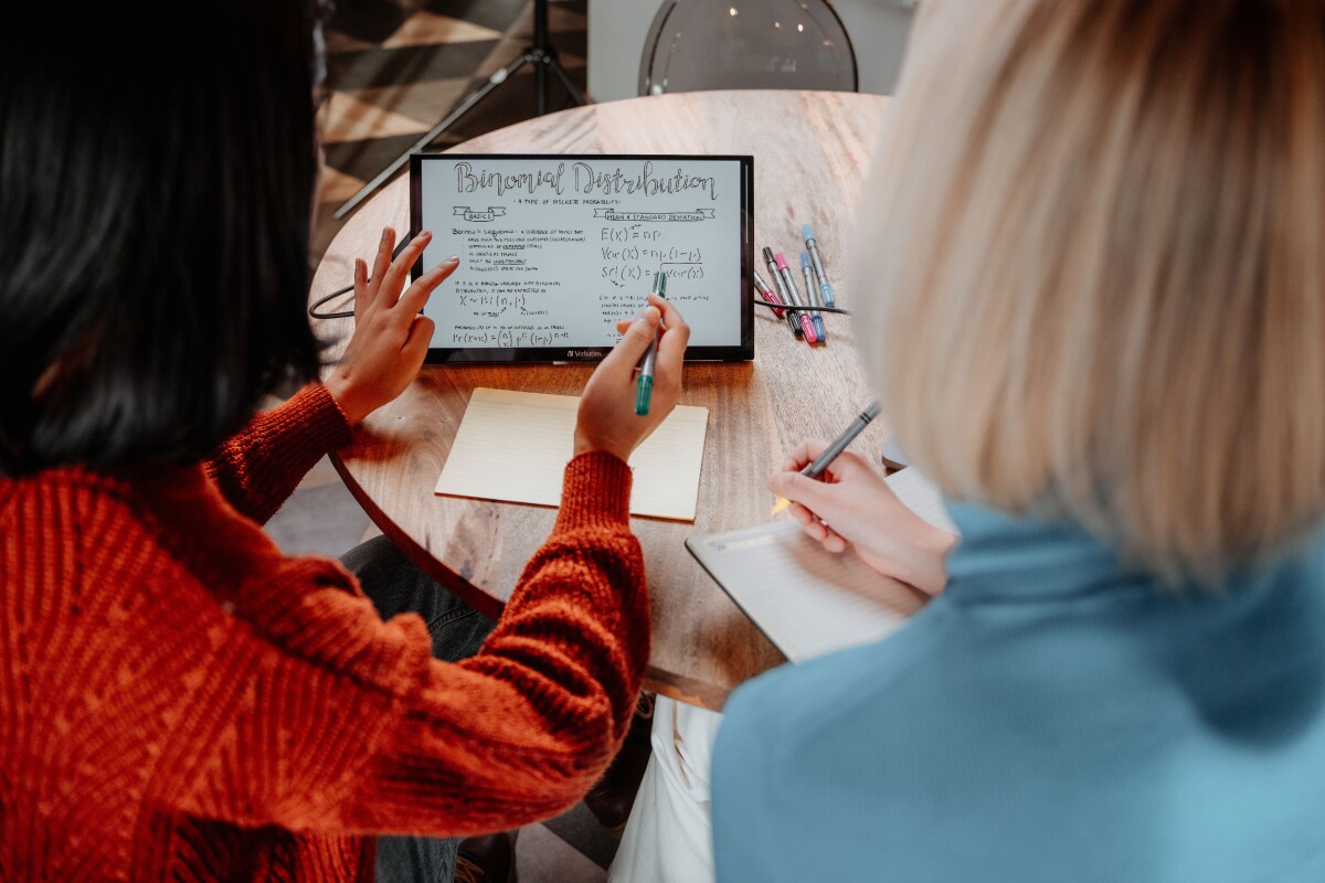 Verbatim - 14 Portable Touchscreen Monitor Full Hd 1080P