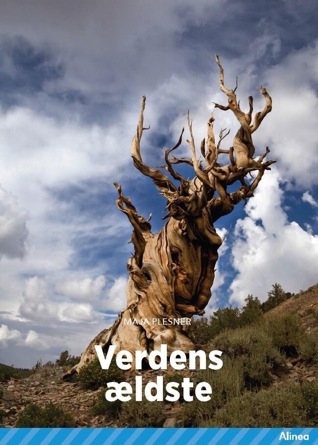 Verdens Ældste Blå Fagklub