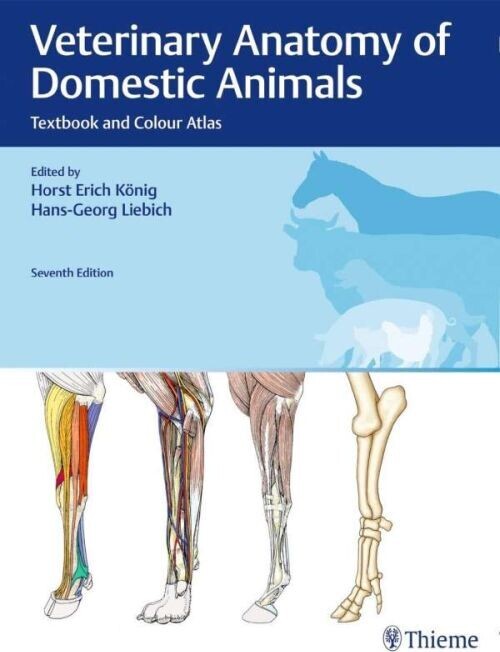 Veterinary Anatomy Of Domestic Animals
