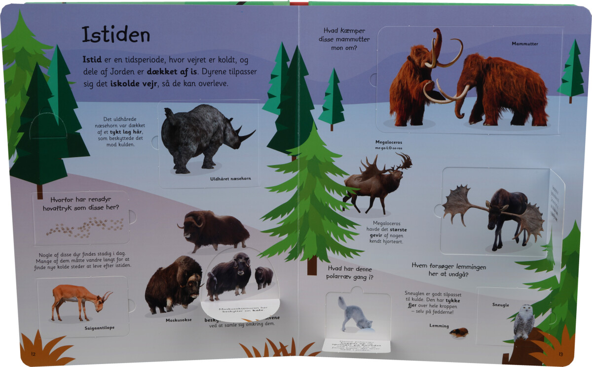 Viden I Børnehøjde - Dinosaurer