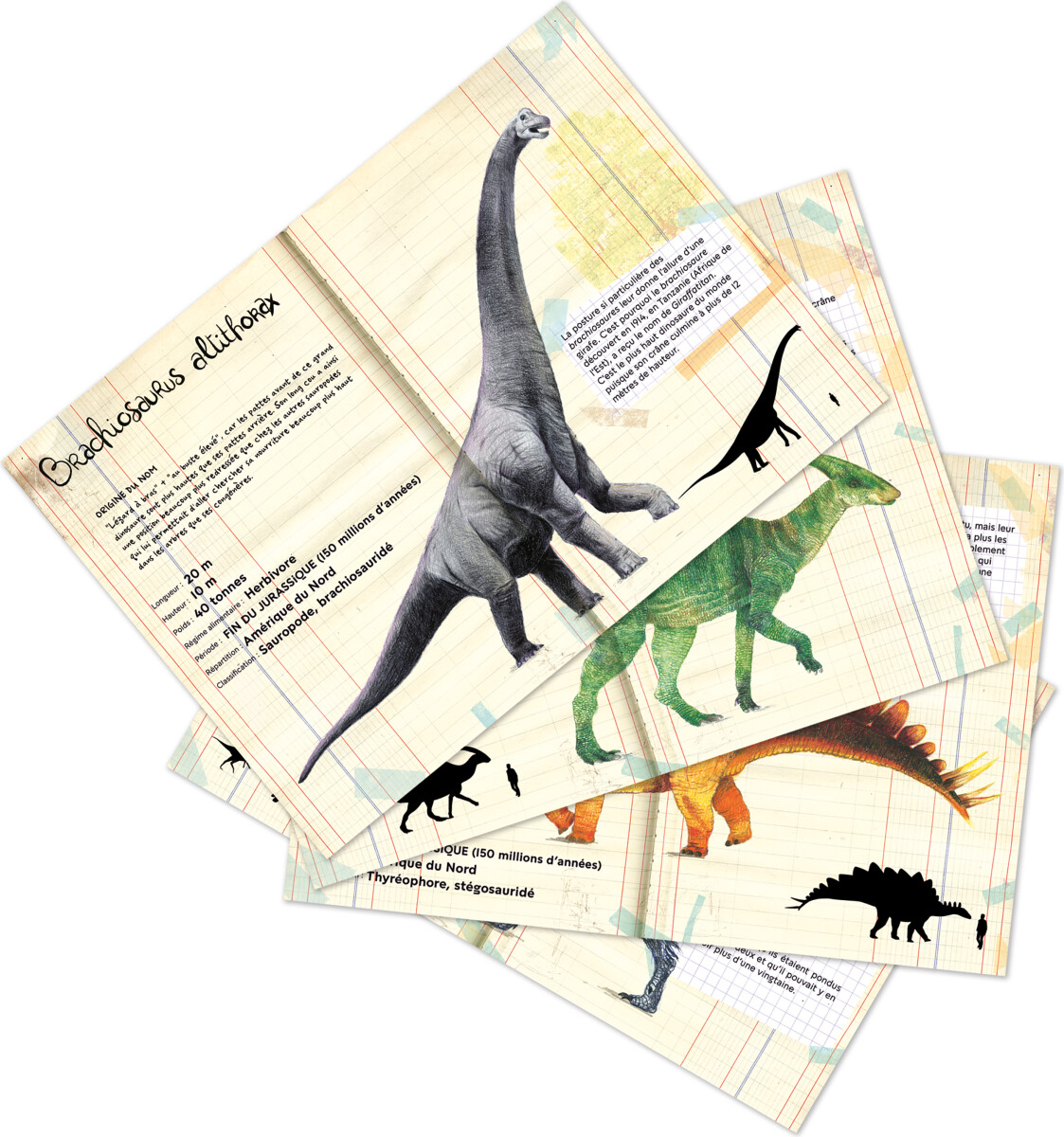 Vilac - Dinosaur Magneter - Naturhistorisk Museum - Træ - 21 Stk