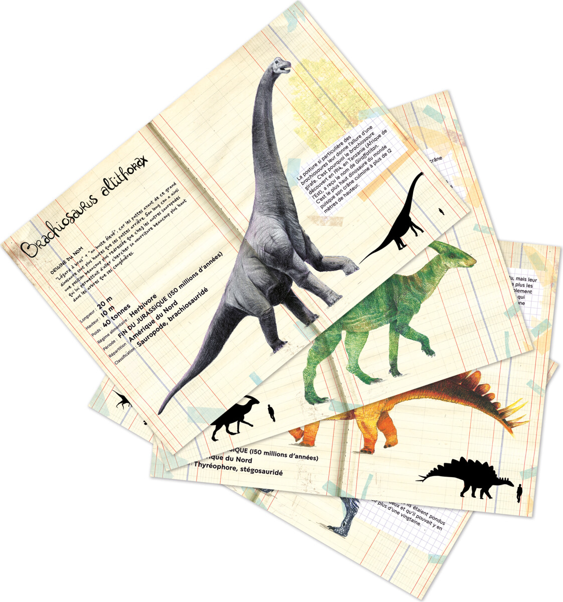Dinosaur Puslespil - Naturhistorisk Museum - 500 Brikker - Vilac