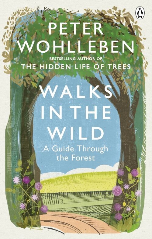 Walks In The Wild A Guide Through The Forest