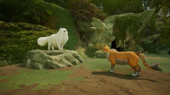 Warrior Cats Clans Of The Forest