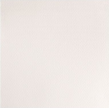 Winsor Newton - Akvarelfarve 12 Pan - Chinese White