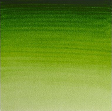 Winsor Newton - Akvarelfarve 12 Pan - Permanent Sap Green