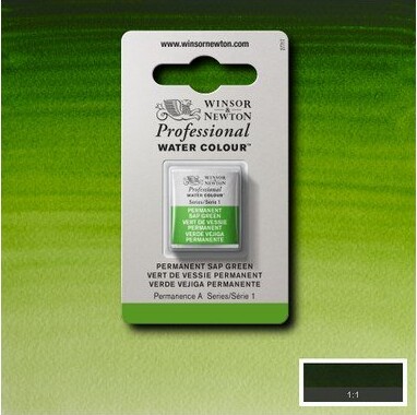 Winsor Newton - Akvarelfarve 12 Pan - Permanent Sap Green