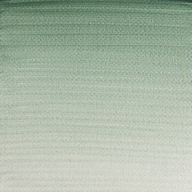Winsor Newton - Akvarelfarve 12 Pan - Terre Verte