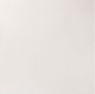 Winsor Newton - Akvarelfarve 12 Pan - Titanium White Opaque