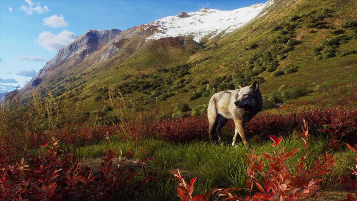 Way Of The Hunter - Wild Expeditions
