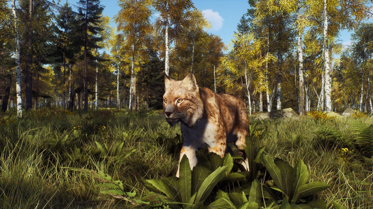 Way Of The Hunter - Wild Expeditions