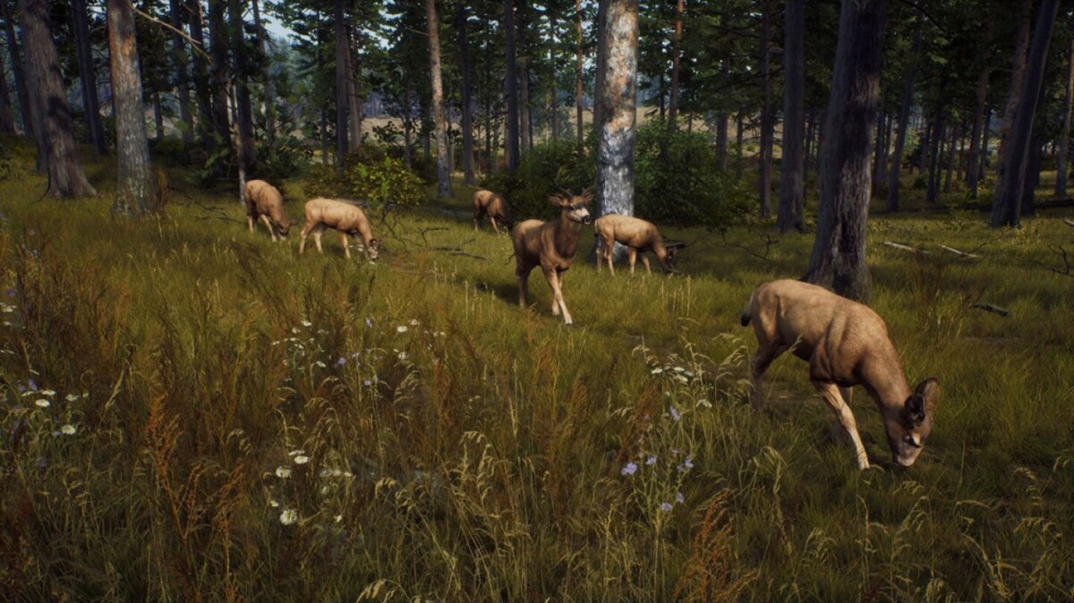 Way Of The Hunter